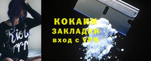 шишки Кодинск