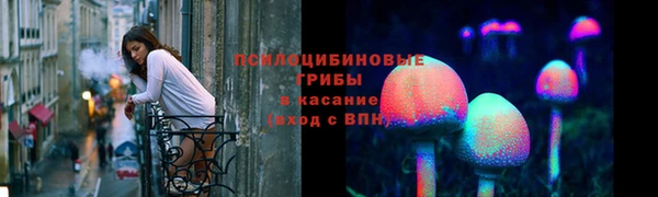 хмурый Козельск