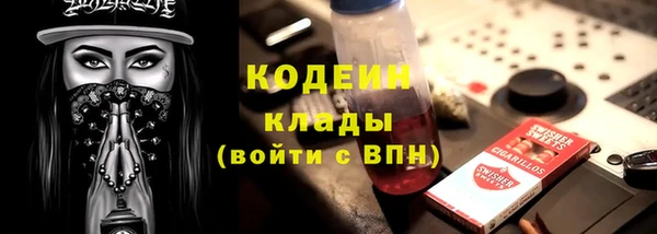 шишки Кодинск