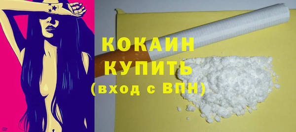 шишки Кодинск