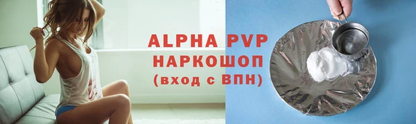 шишки Кодинск