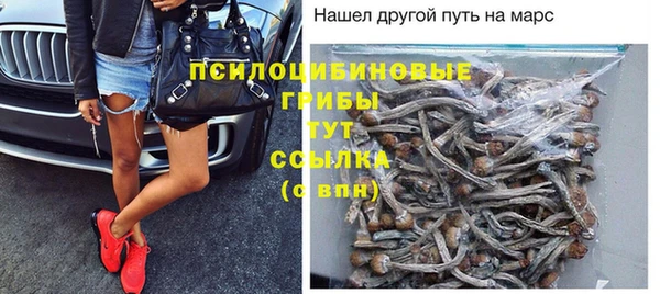 кокаин премиум Козловка