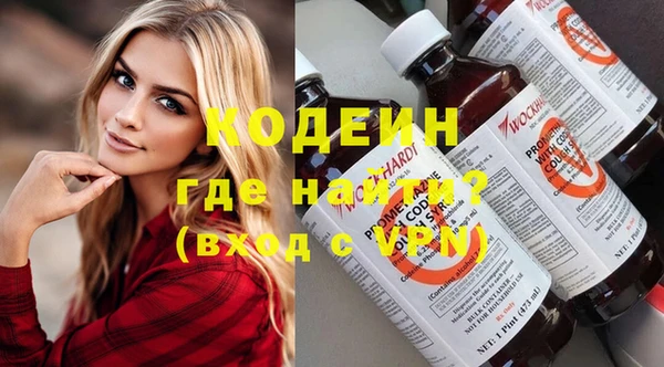 шишки Кодинск