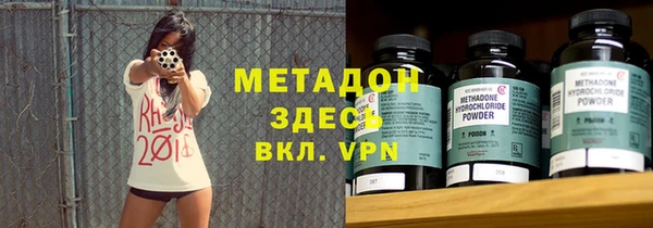 шишки Кодинск