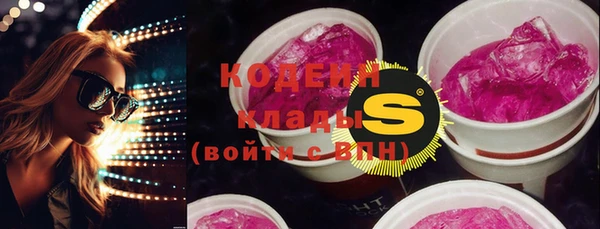шишки Кодинск