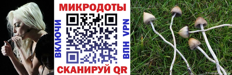 Галлюциногенные грибы MAGIC MUSHROOMS что такое наркотик Менделеевск