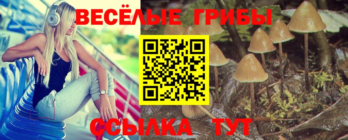 Псилоцибиновые грибы мицелий Менделеевск