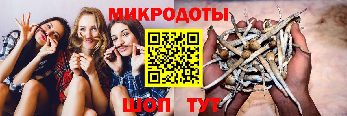 Галлюциногенные грибы Cubensis  цены наркотик  Менделеевск  Вход с VPN 